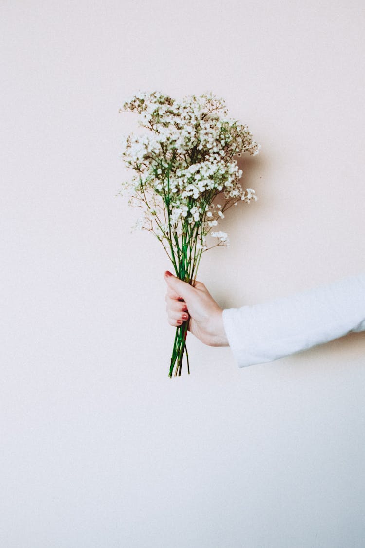 Photo Of Woman's Hand Holding Out White Flowers In Front Of White Background