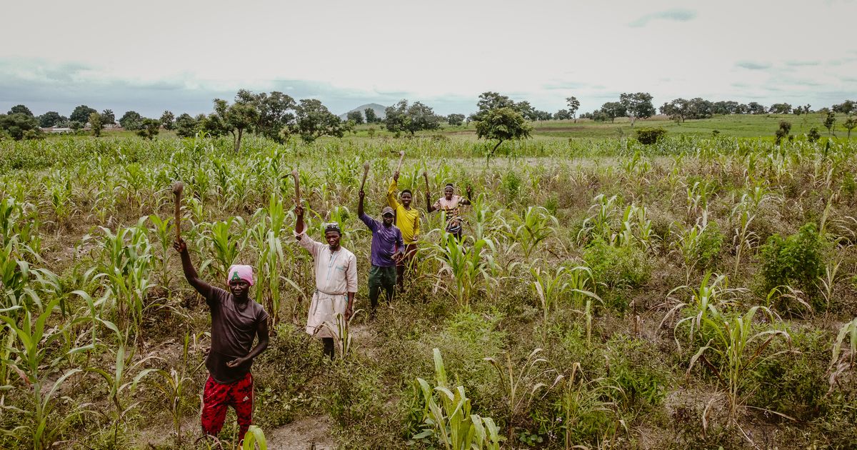 Carbon Credits + Investment Returns: The Double Bottom Line