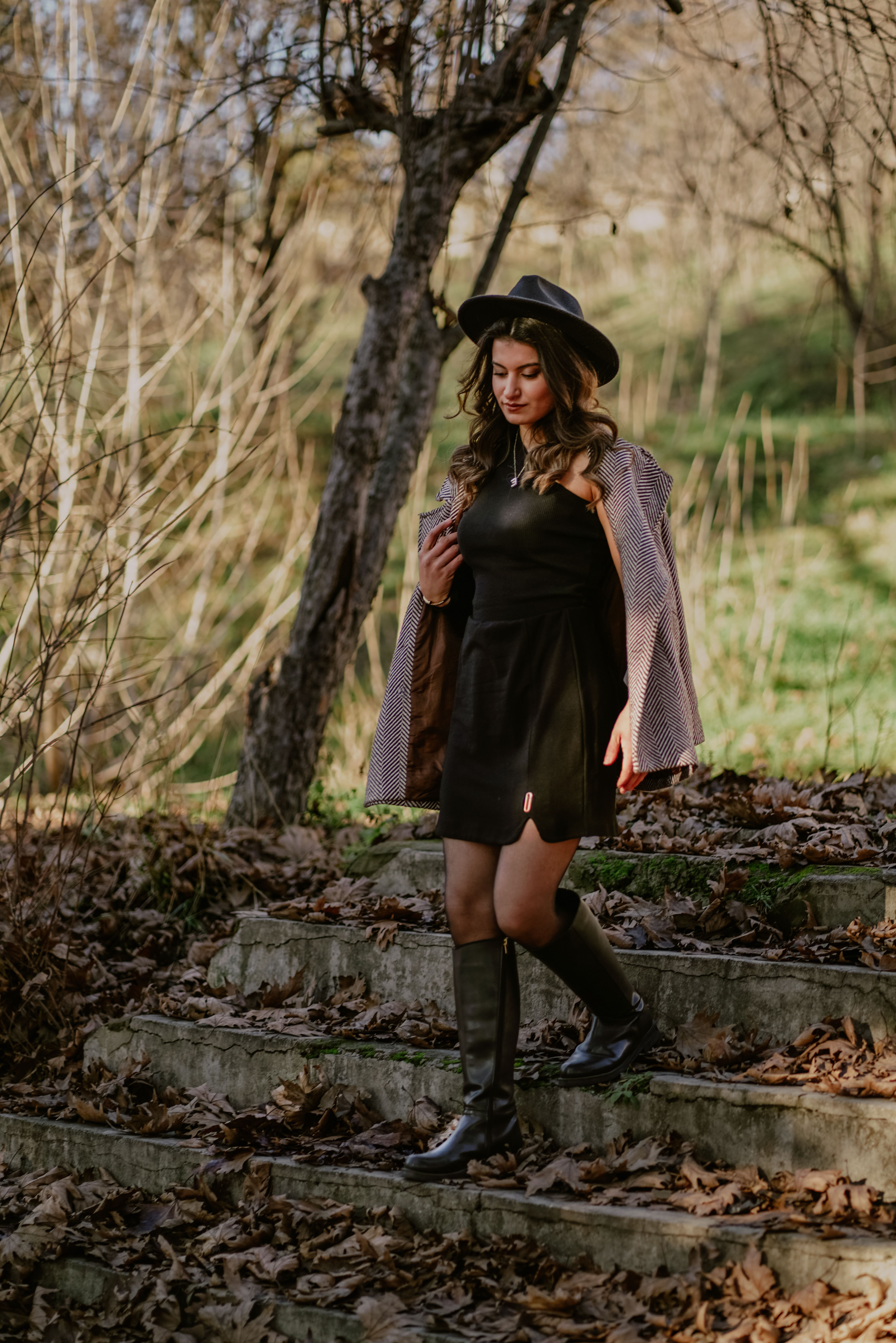 Woman Strolling in Autumn Landscape · Free Stock Photo