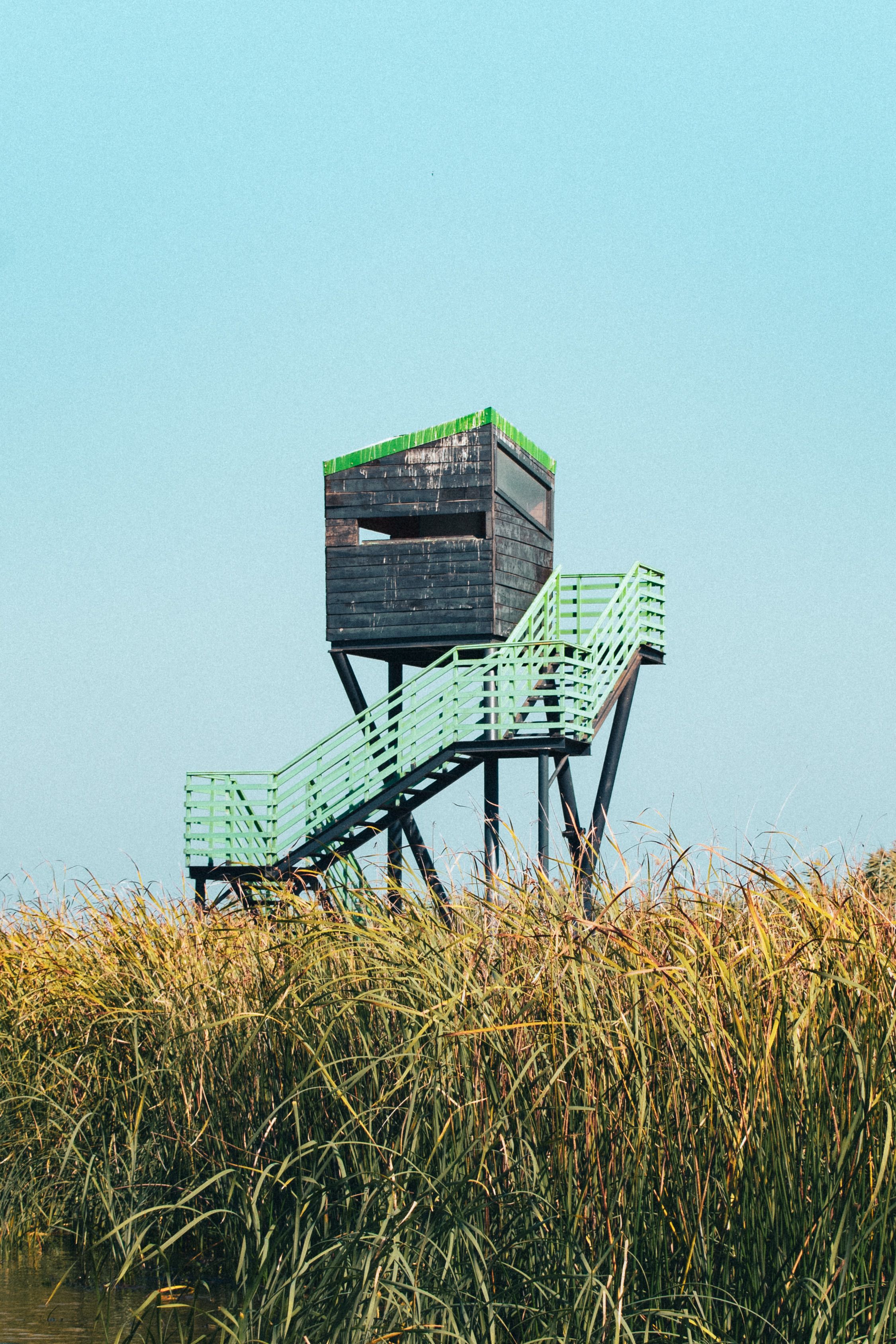 Elevated Observation Tower in Scenic Wetlands · Free Stock Photo