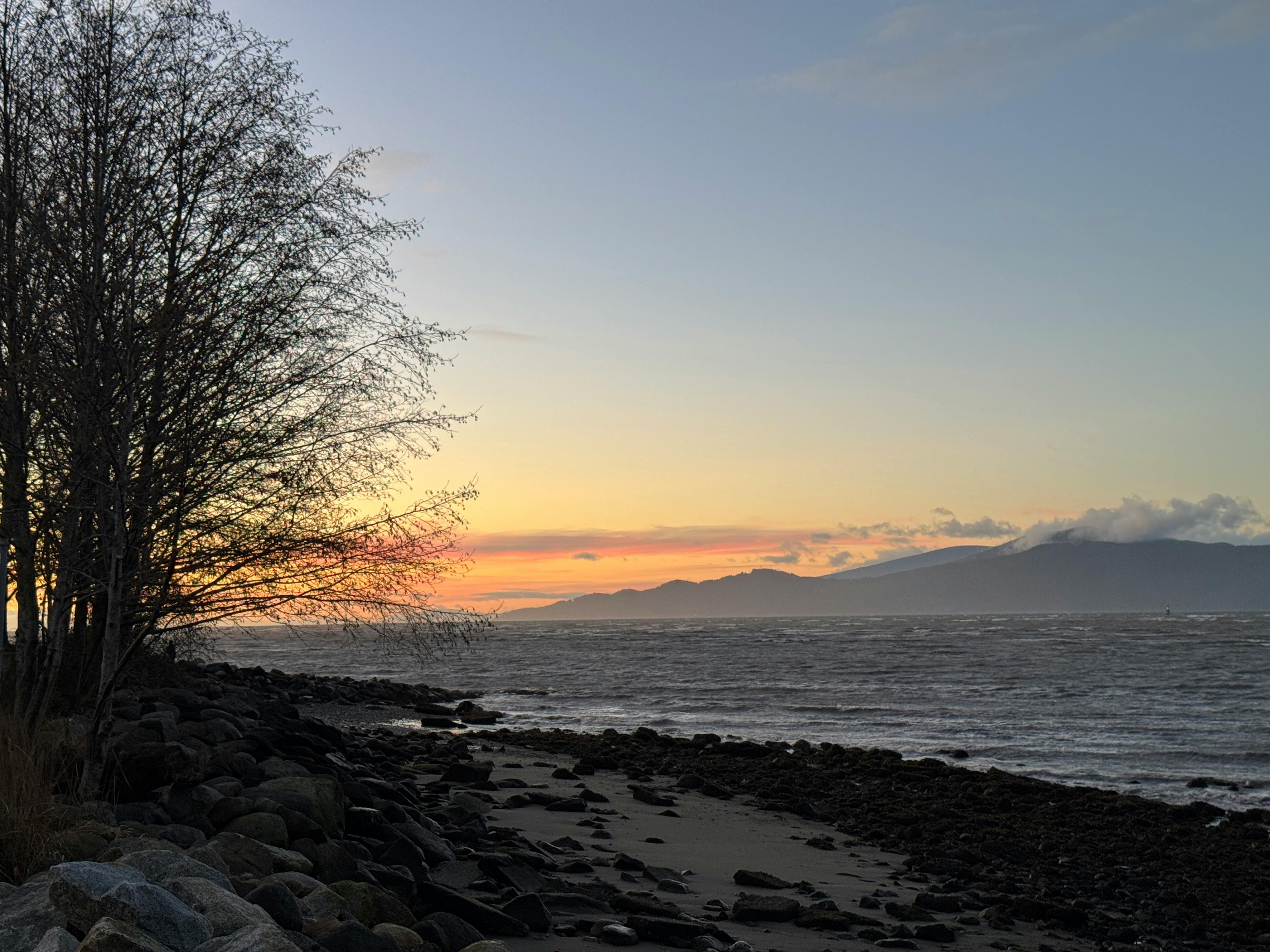 Lifestyle Lookout: Bellingham Improv Festival, exotic pets at the fairgrounds, holiday events and more in Whatcom County — Ph