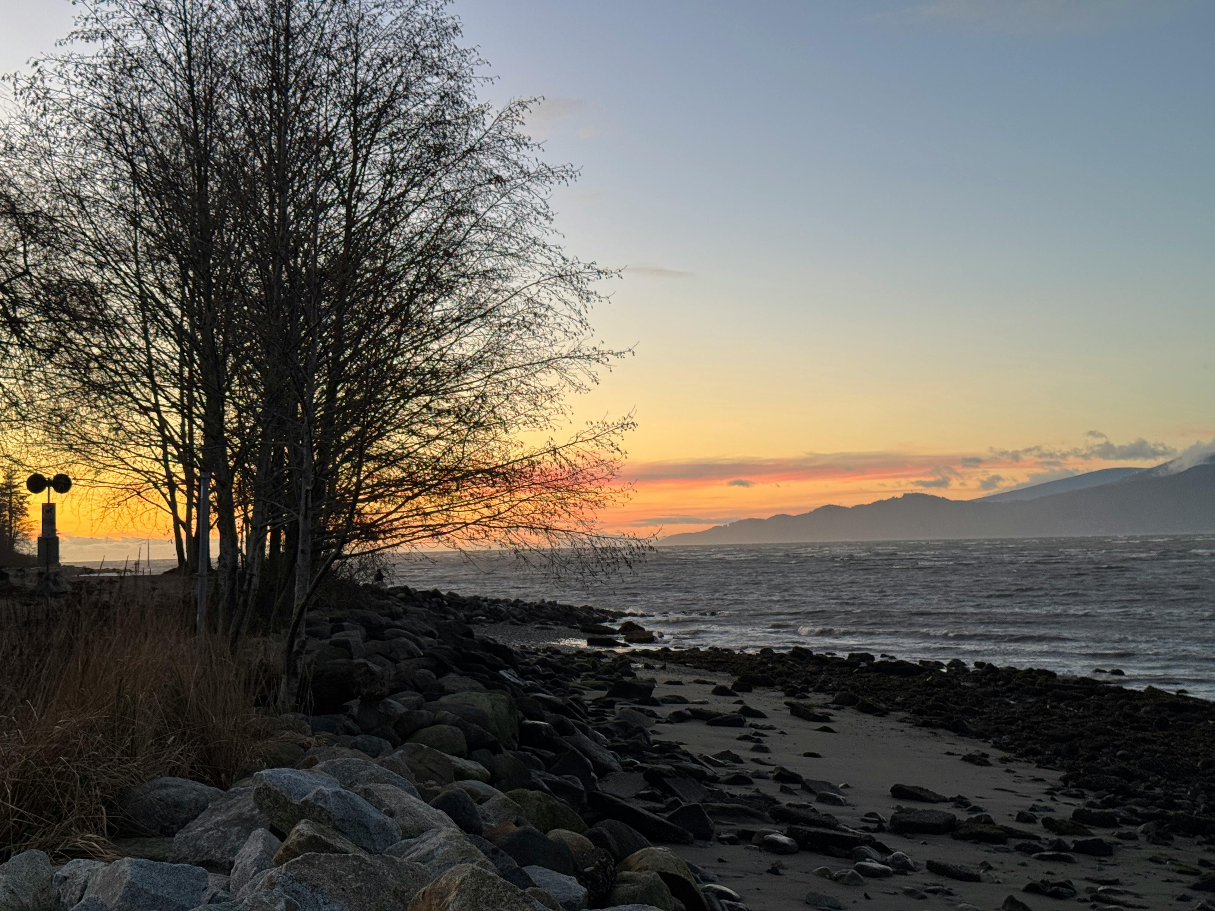 Lifestyle Lookout: Bellingham Improv Festival, exotic pets at the fairgrounds, holiday events and more in Whatcom County — Ph