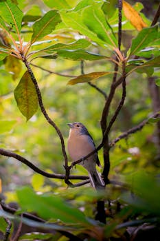 A bright bird sitting amidst lush green leaves in a vibrant forest.