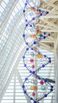 Colorful DNA sculpture inside Valencia's science complex, showcasing modern architecture and art.