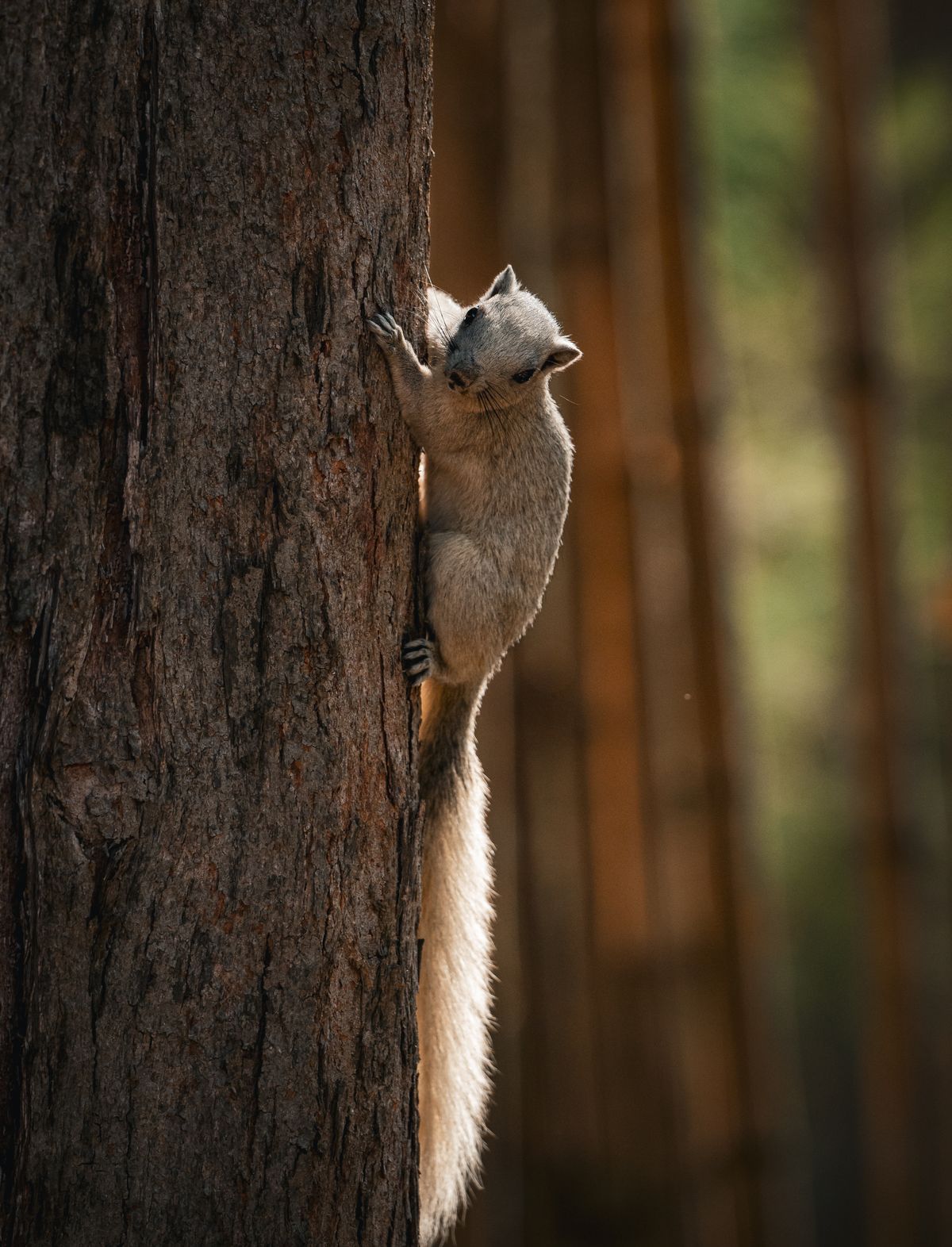 sustainability-images-photos-download-the-best-free-sustainability