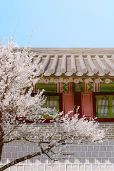 Korean palace wall adorned with cherry blossoms on a bright spring day.