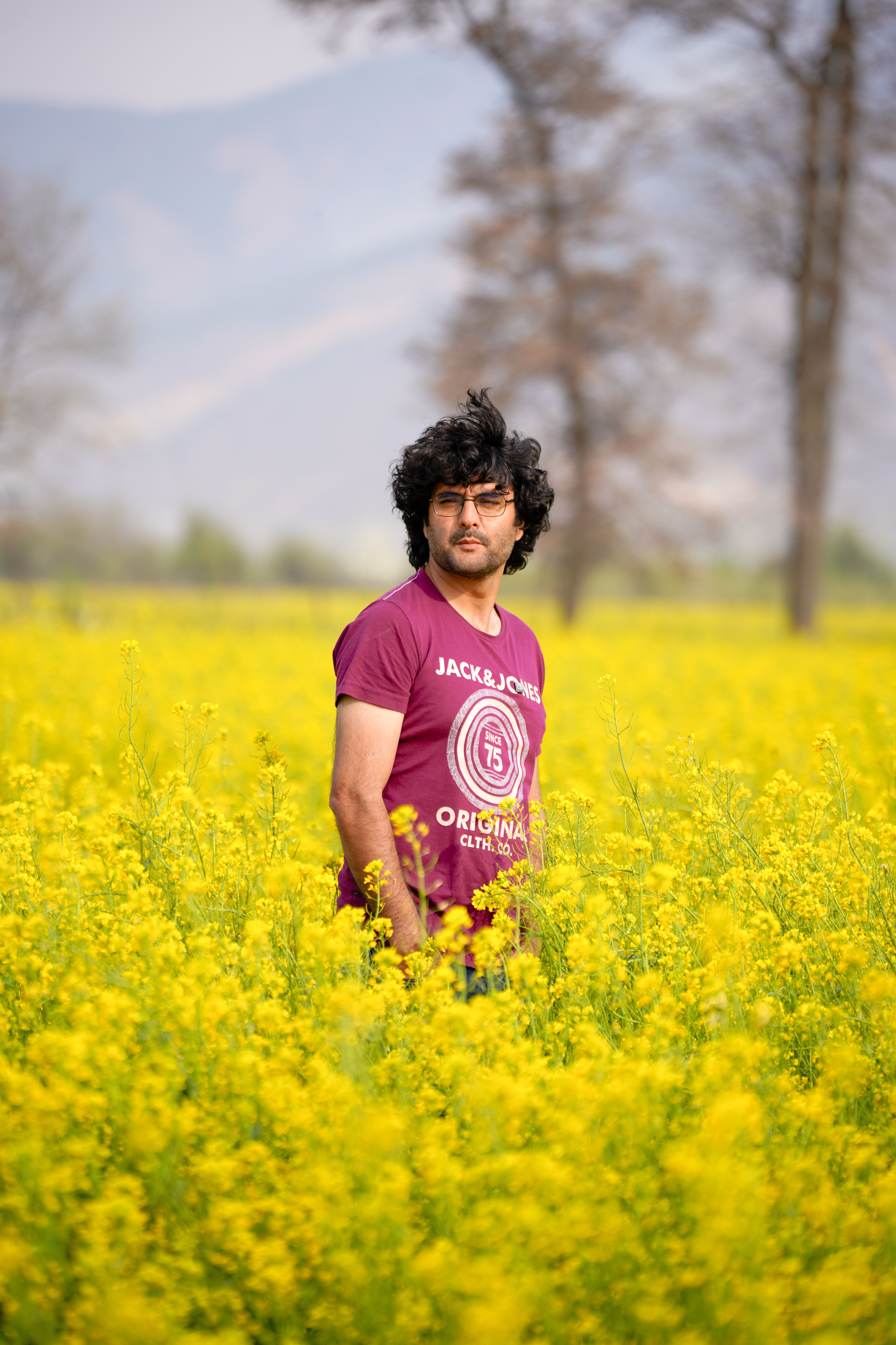 Man Standing in a Vibrant Flower Field · Free Stock Photo