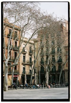 European square with cafes and historic architecture under leafless trees.