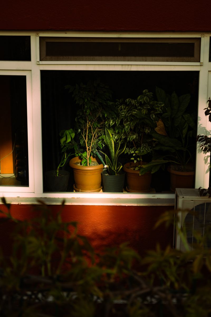 Whole-House Air Purifier vs. Portable: Which Cleans the Air Better?
