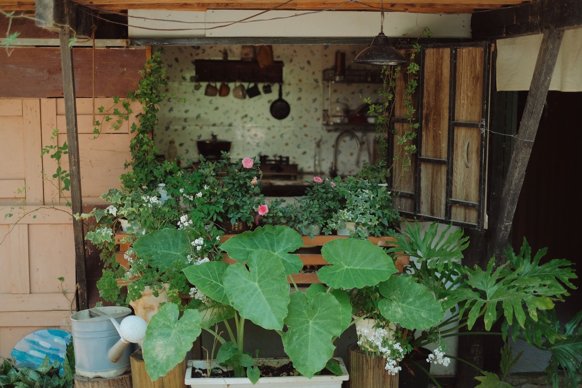Charming rustic outdoor garden setup with lush green plants and vintage elements.