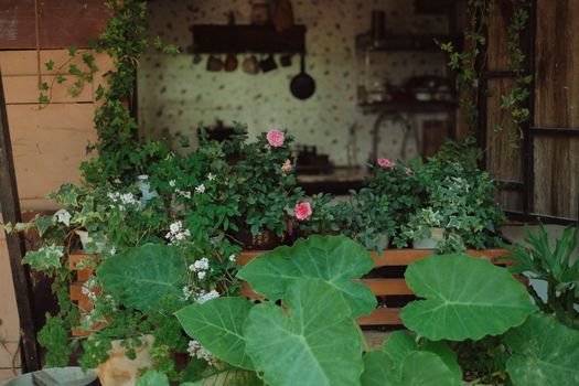 Charming rustic cottage with lush greenery and vibrant pink flowers.