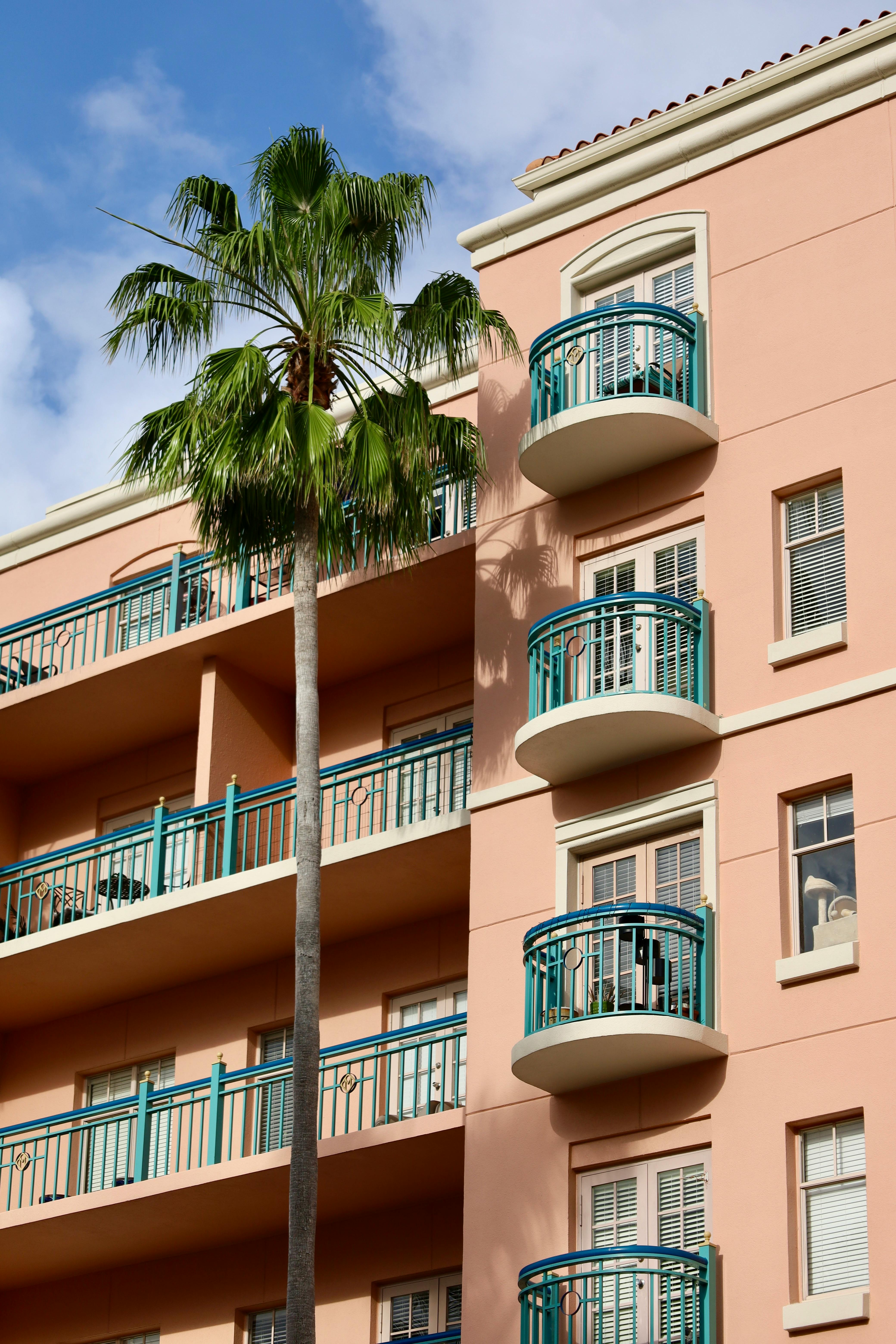 A sunny day view of a modern apartment building with a palm tree.