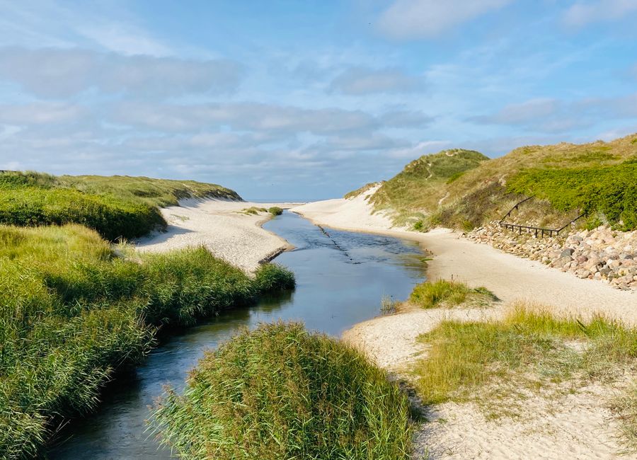 Explore the tranquil coastal dunes and natural waterway in West Jutland, Denmark on a sunny day.