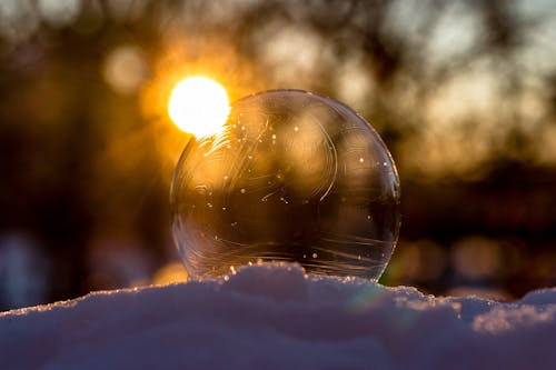 Kostnadsfri bild av boll, fokus, frost