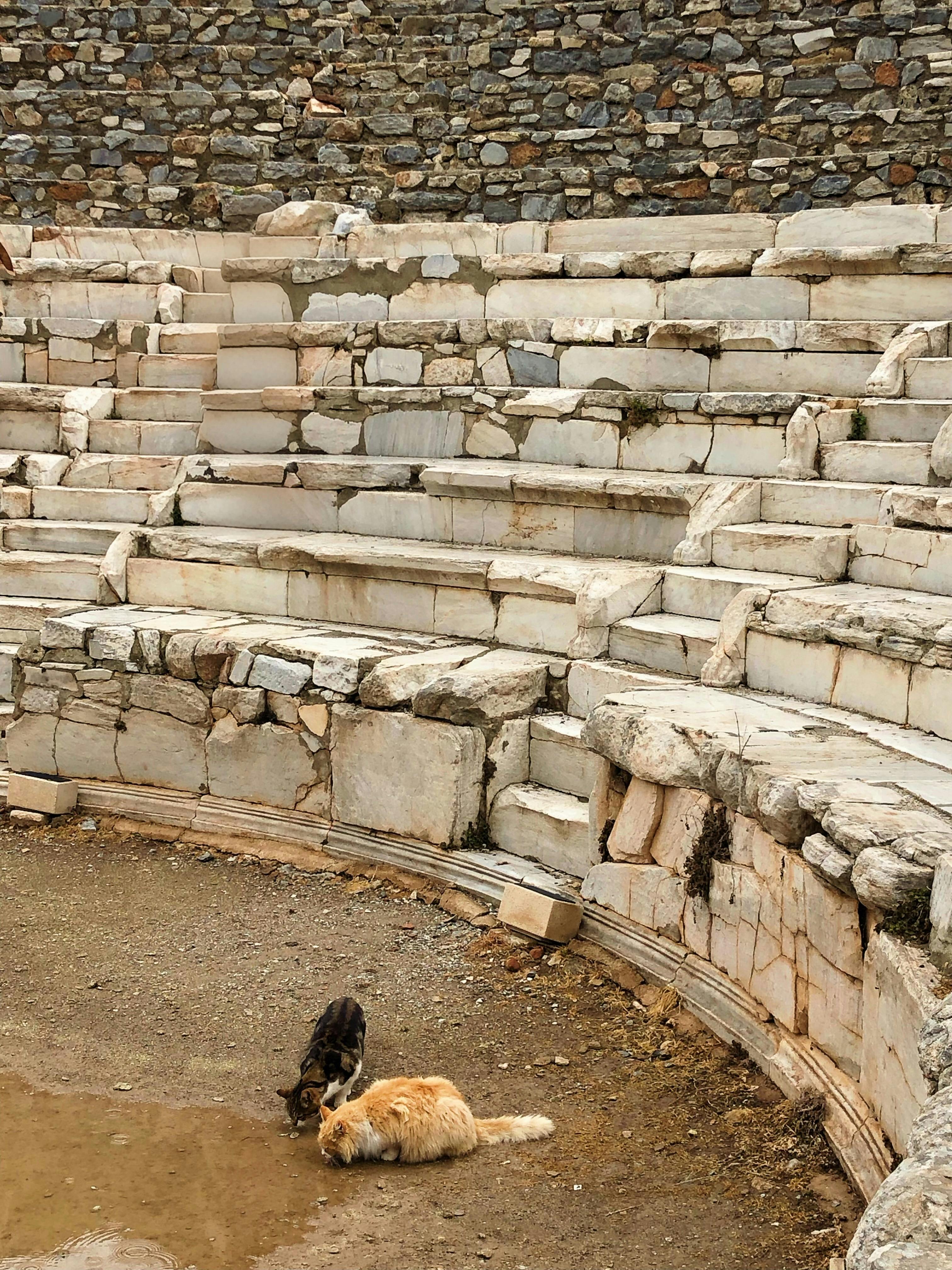 common:alt.prefix Vsco Ile Dog2 ön Ayarıyla Işlendi common:alt.postfix