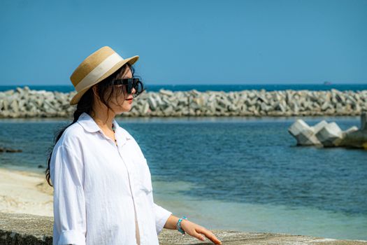 Taketomi water buffalo village — Okinawa