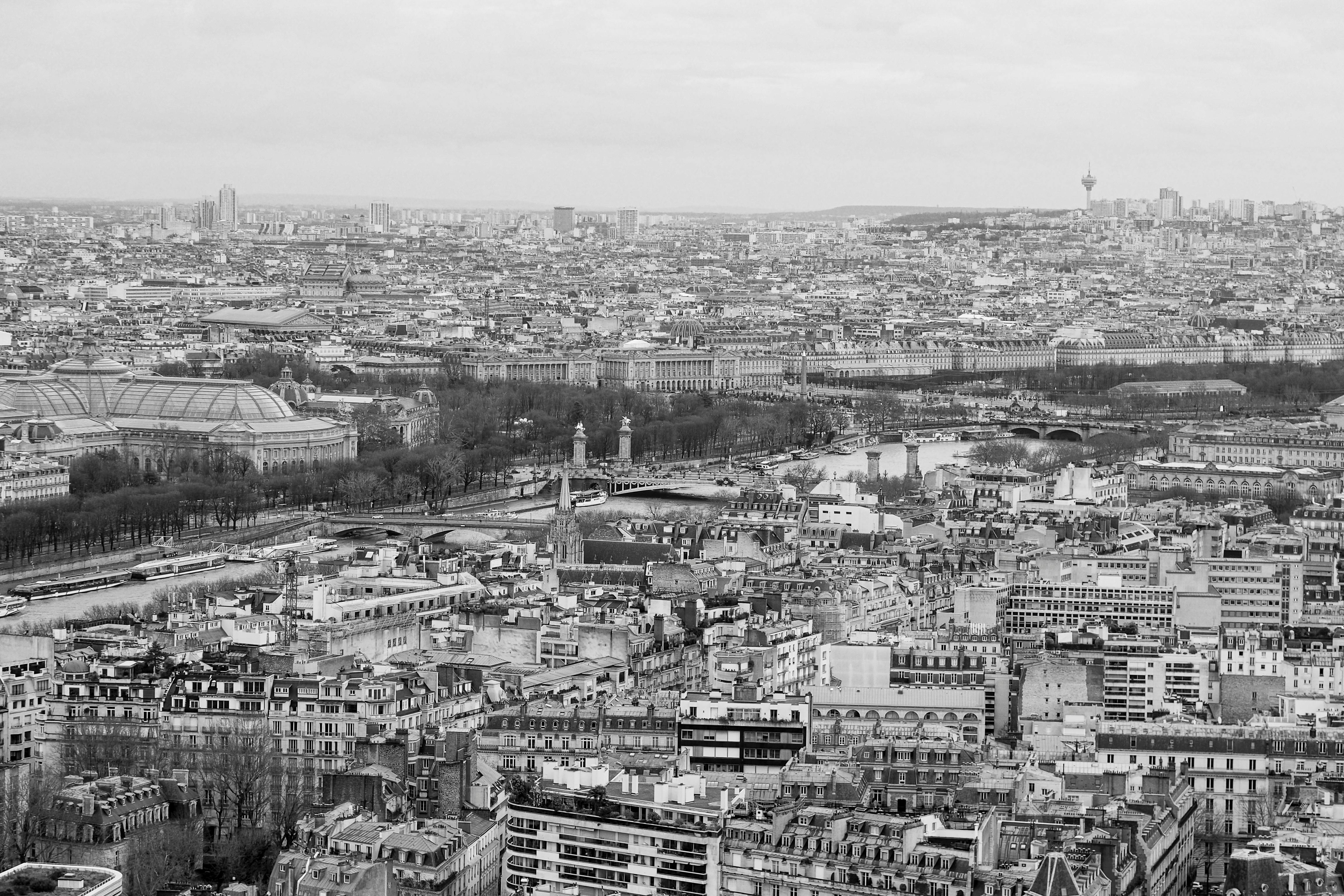 Free stock photo of paris, skyline