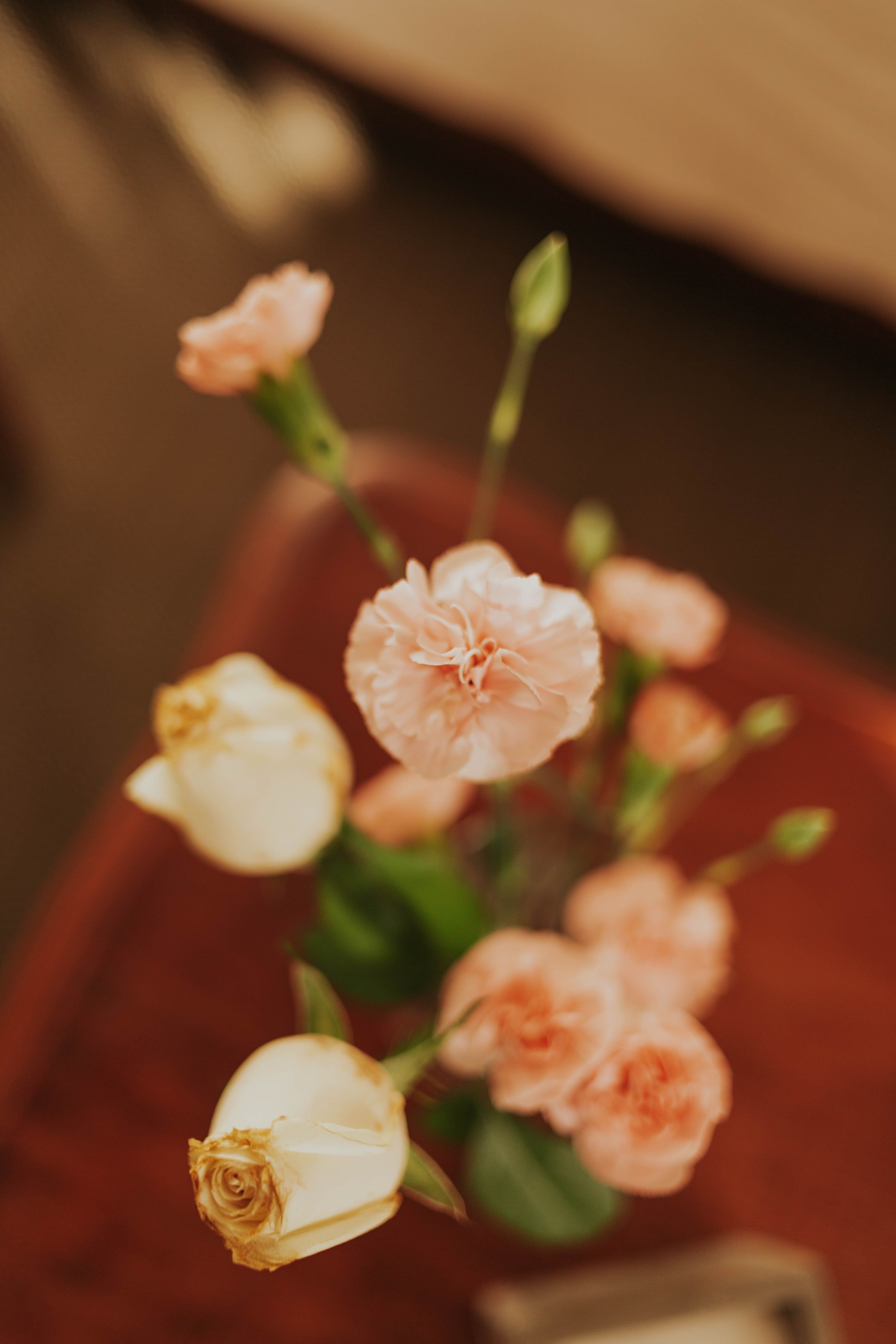 Ramo de claveles rosados y blancos