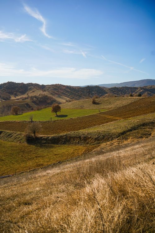 Idyllic Rolling Hills Landscape Under Clear Blue Sky · Free Stock Photo