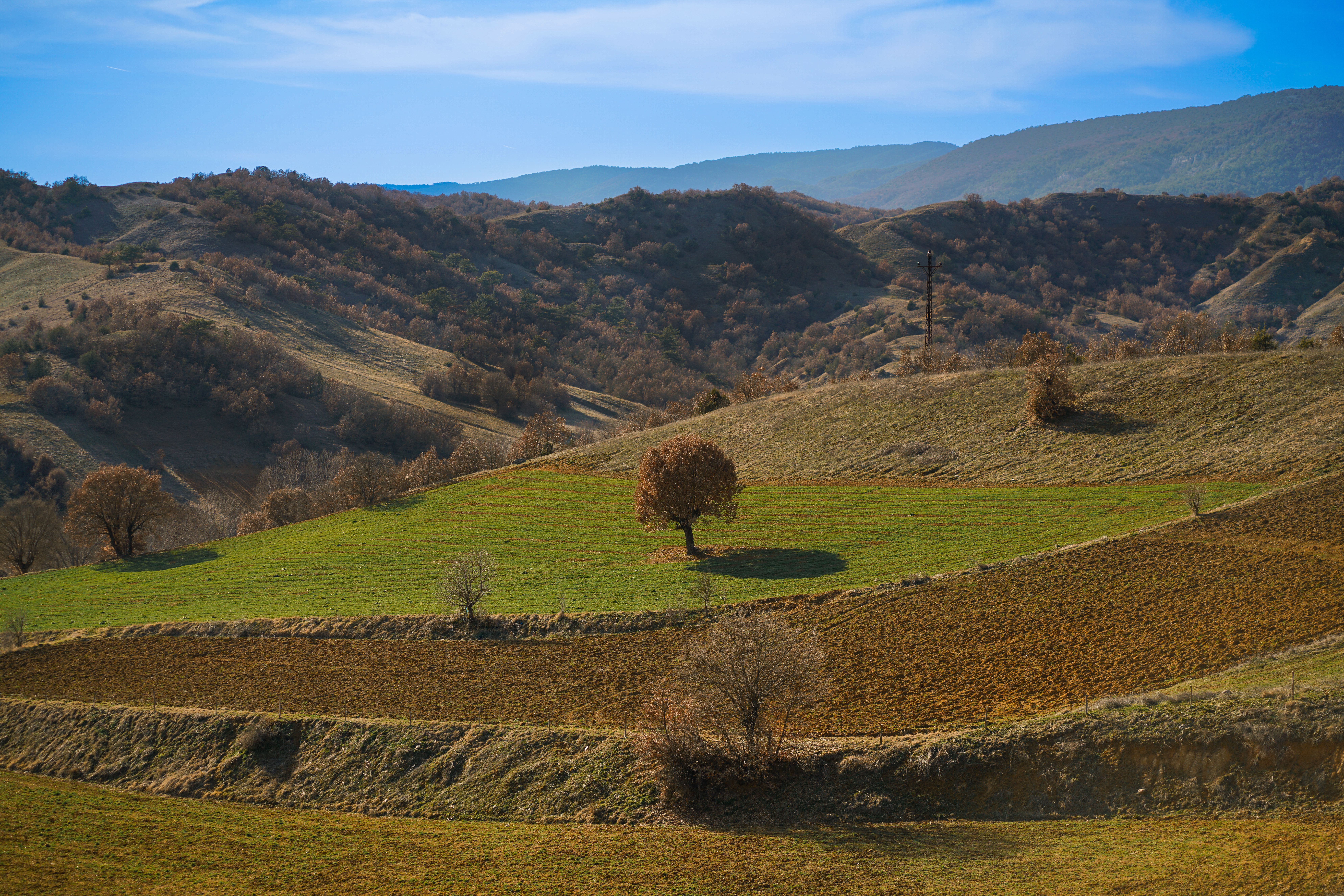 Serene Landscape with Rolling Hills and Trees · Free Stock Photo