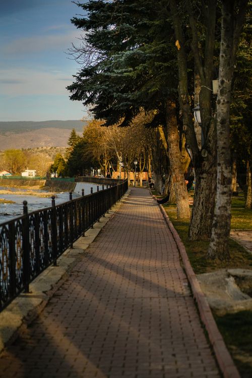 Free A serene riverside path lined with trees casting shadows on a sunny day. Stock Photo