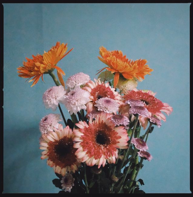 A colorful bouquet featuring chrysanthemum and gerbera flowers against a serene blue backdrop, highlighting vibrant hues and delicate petals.