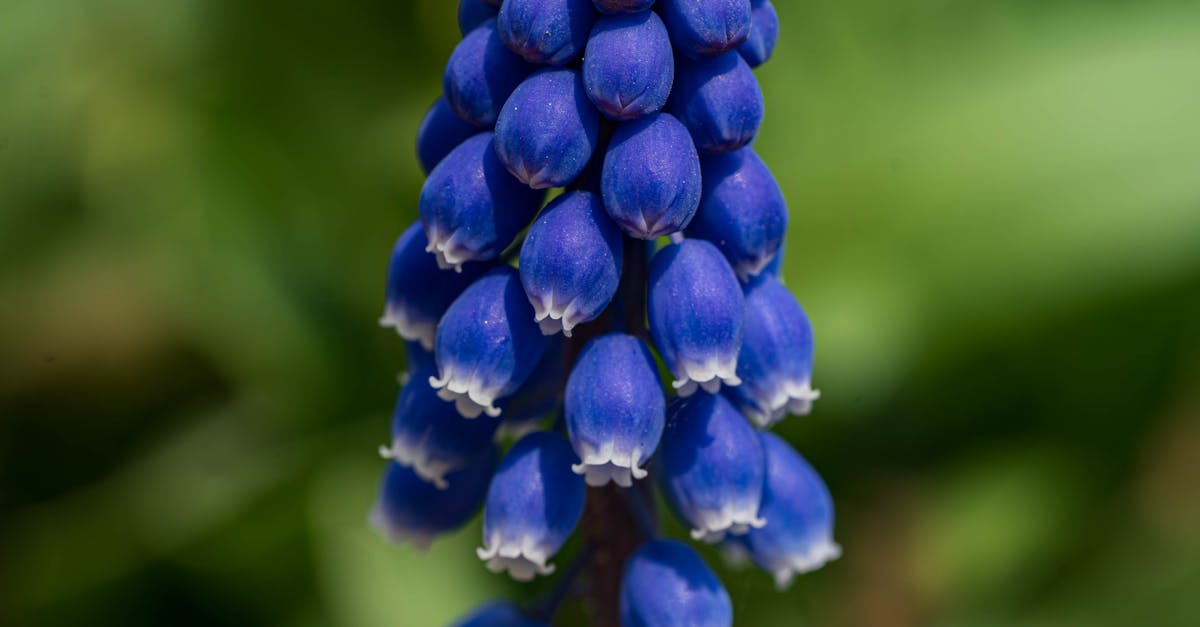 春日邀約:The One 南園重新定義生活的靈光旅程