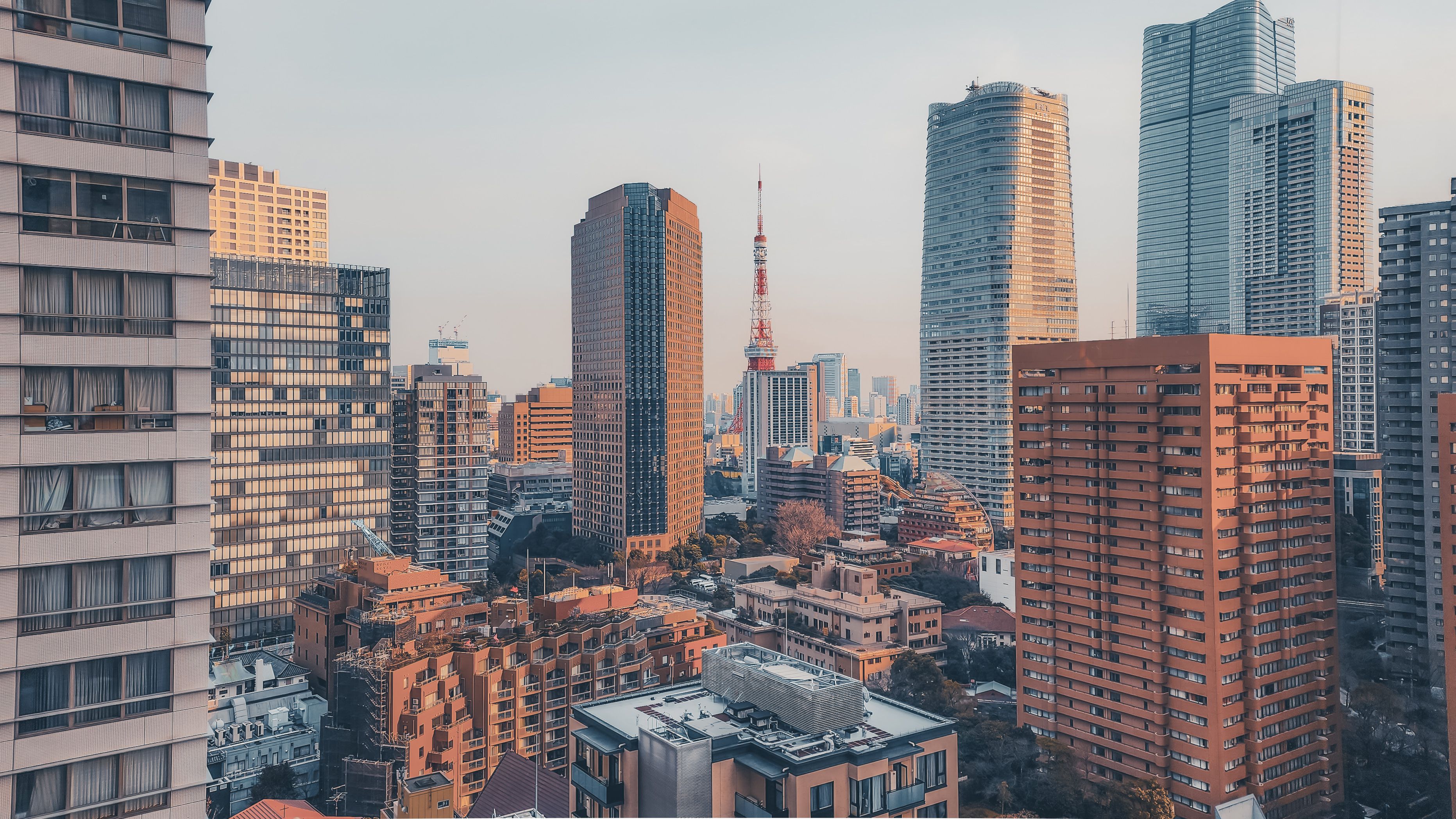 Vibrant view of Tokyo's cityscape featuring the iconic Tokyo Tower during daylight.
