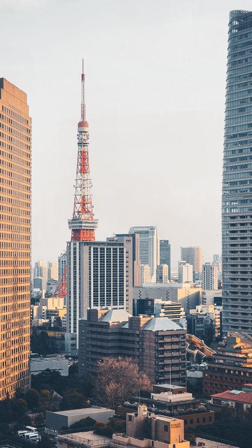 Free Aerial view of Tokyo cityscape featuring the iconic Tokyo Tower against skyscrapers. Stock Photo