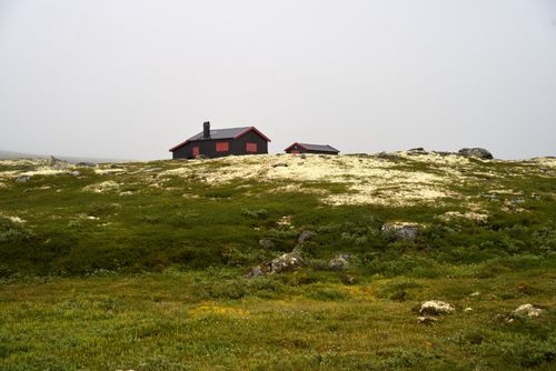 Free Explore the peaceful retreat of a wooden cabin amidst Norway's lush greenery in Tunhovd. Stock Photo