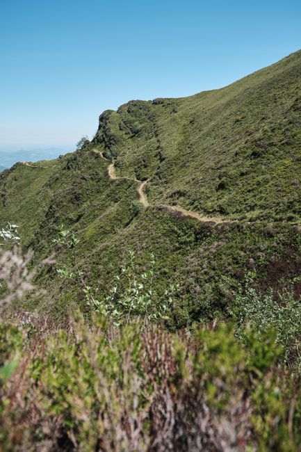 A verdant mountain path in Alçay-Alçabéhéty-Sunharette, France, perfect for hiking enthusiasts.