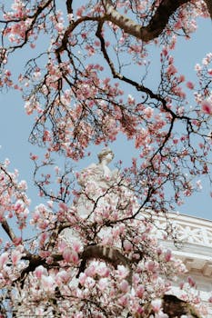 View through magnolia branches showcasing ornate architectural details against a clear blue sky.