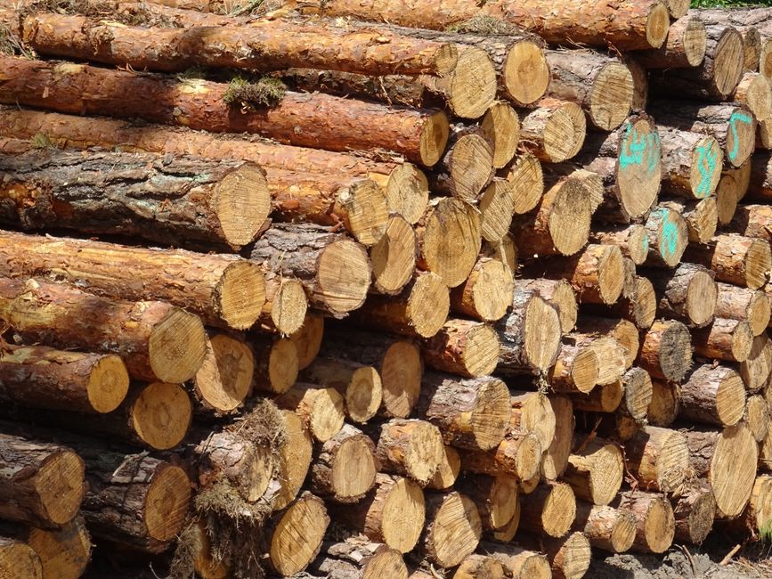 Photo: burnabyhouse.com Brink Forest Products cuts 50 jobs at Prince George plant amid tariff costs