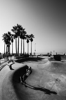 Skateboarder enjoys a sunny day at Venice Beach Skatepark, Los Angeles.