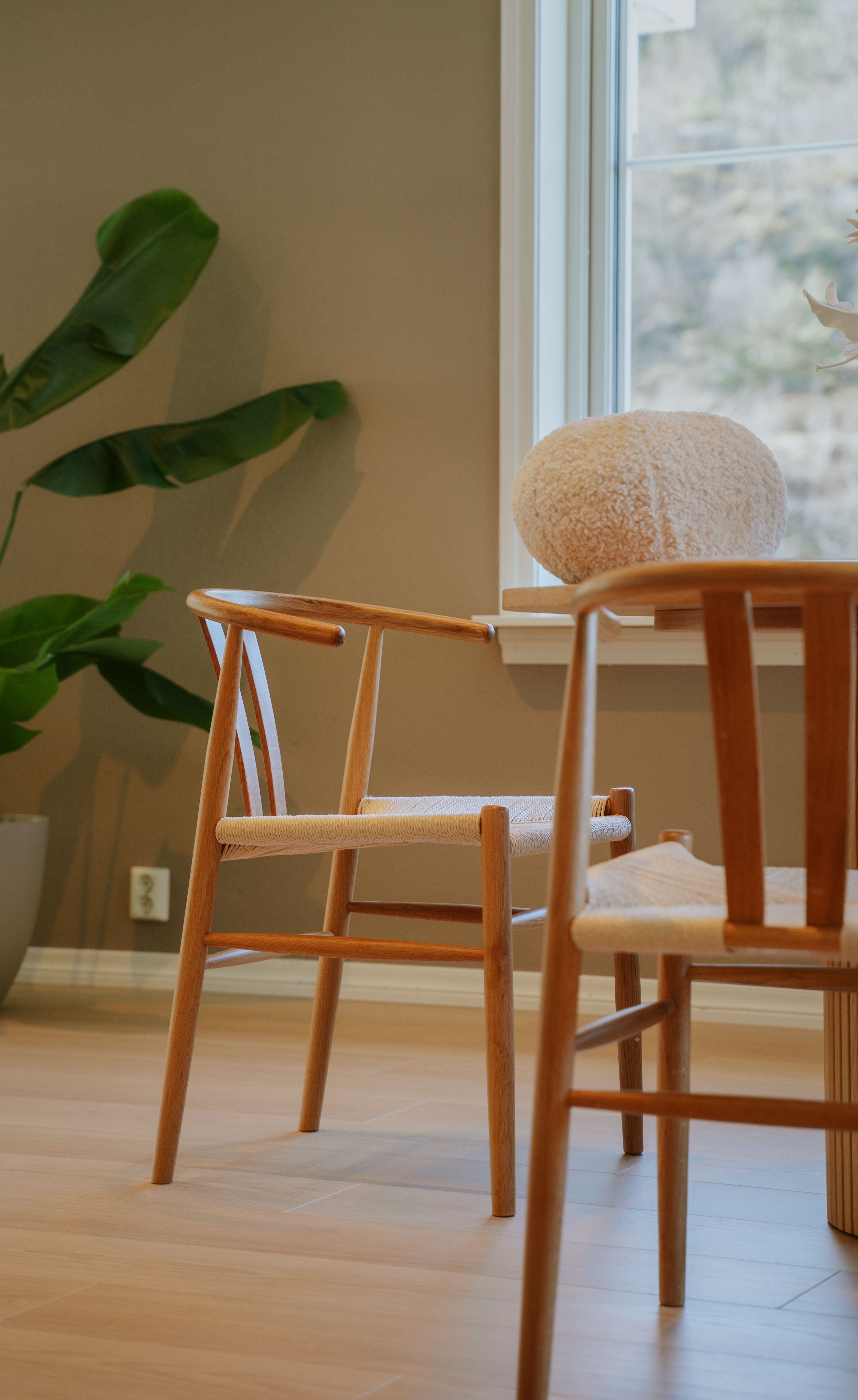 Scandinavian Minimalist Interior with Wooden Chairs · Free Stock Photo