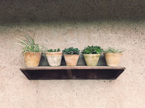 Simple display of clay plant pots on a wooden shelf, exemplifying minimalist indoor decor in Lahijan, Iran.