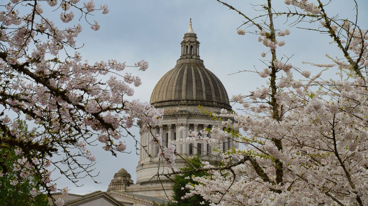 Washington State Capitol in Olympia representing local Pacific Northwest identity and brand presence