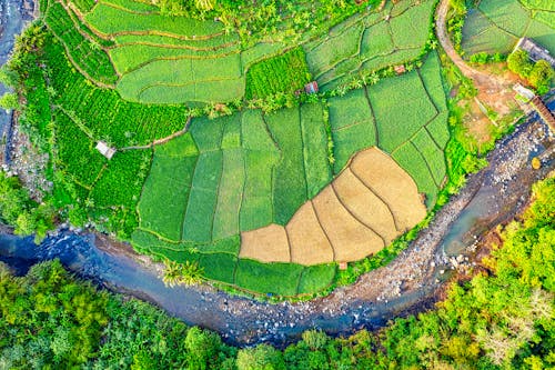 Fotografia Aérea De Campo Verde