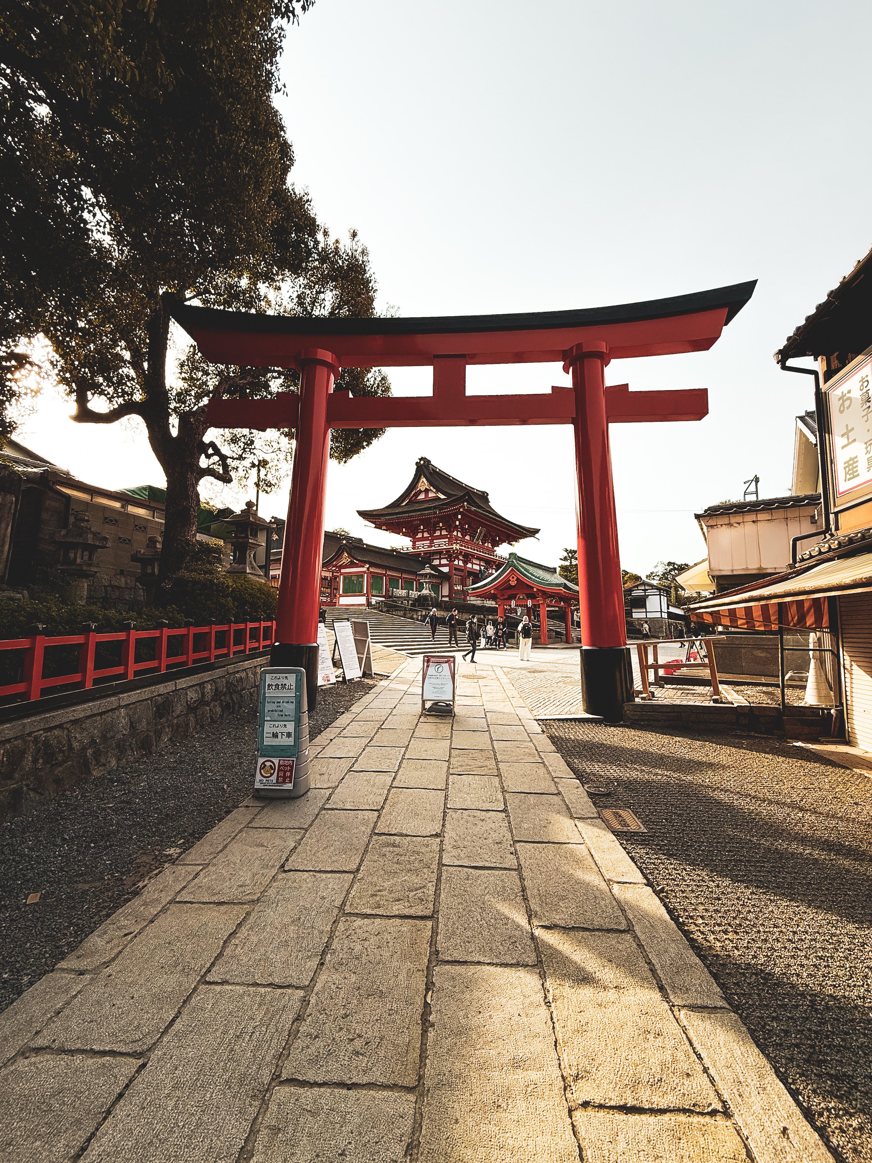 Traditional Torii Gate Leading to Kyoto Shrine · Free Stock Photo