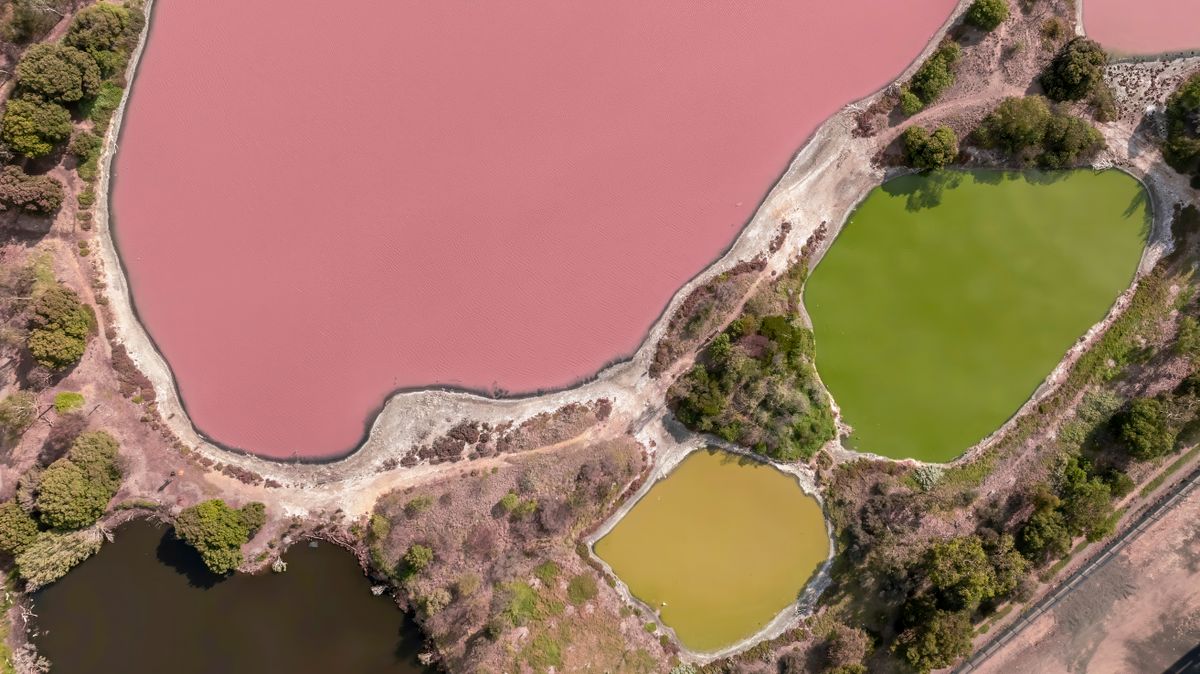 Lake Hillier's confectionary-pink water, unchanged even scooped into a glass.