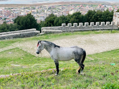 Ilustrasi VGA Profesional 2025 yang Sering Dipakai Studio Kreatif untuk Proyek Berat dalam artikel teknologi