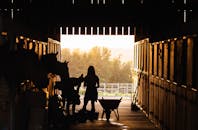 在谷仓里用马剪影人物捕捉日出时的乡村生活方式