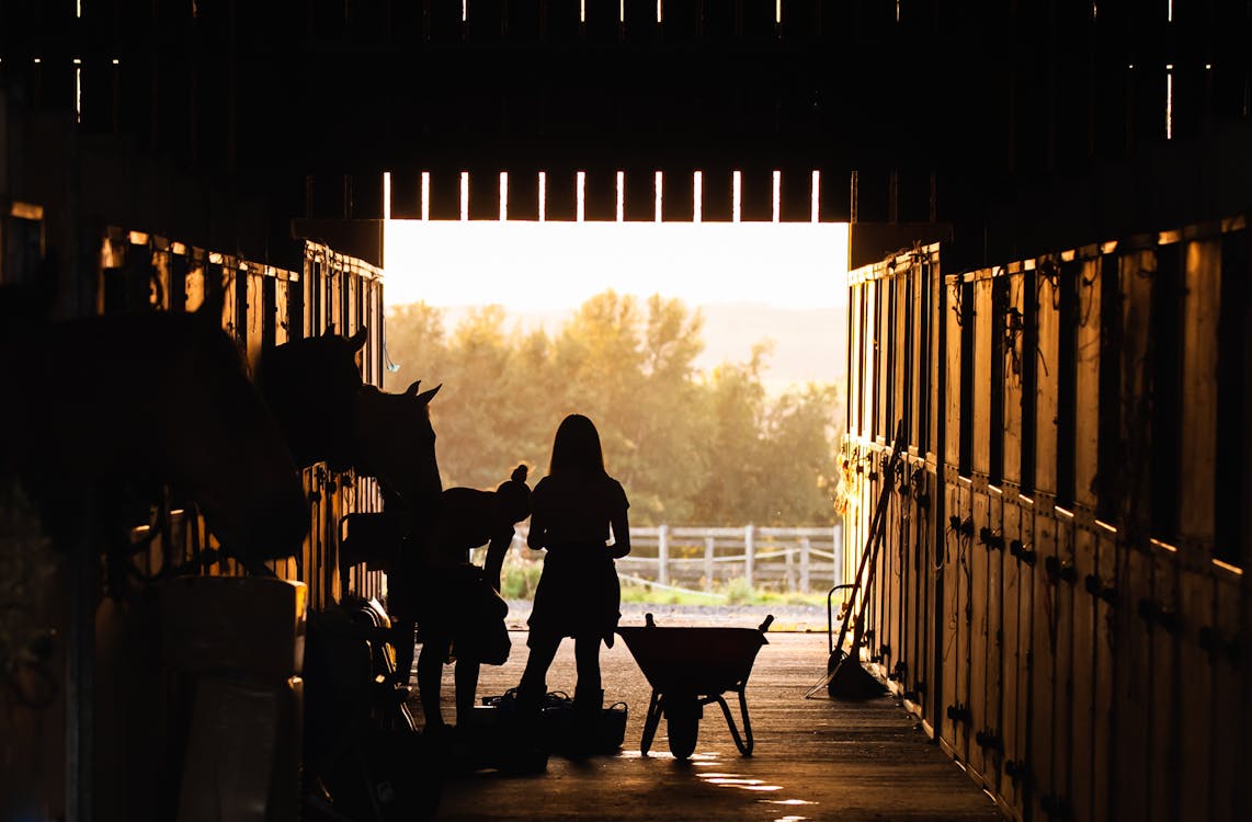 Silhouetted figures with horses in a barn at sunrise, capturing rural lifestyle