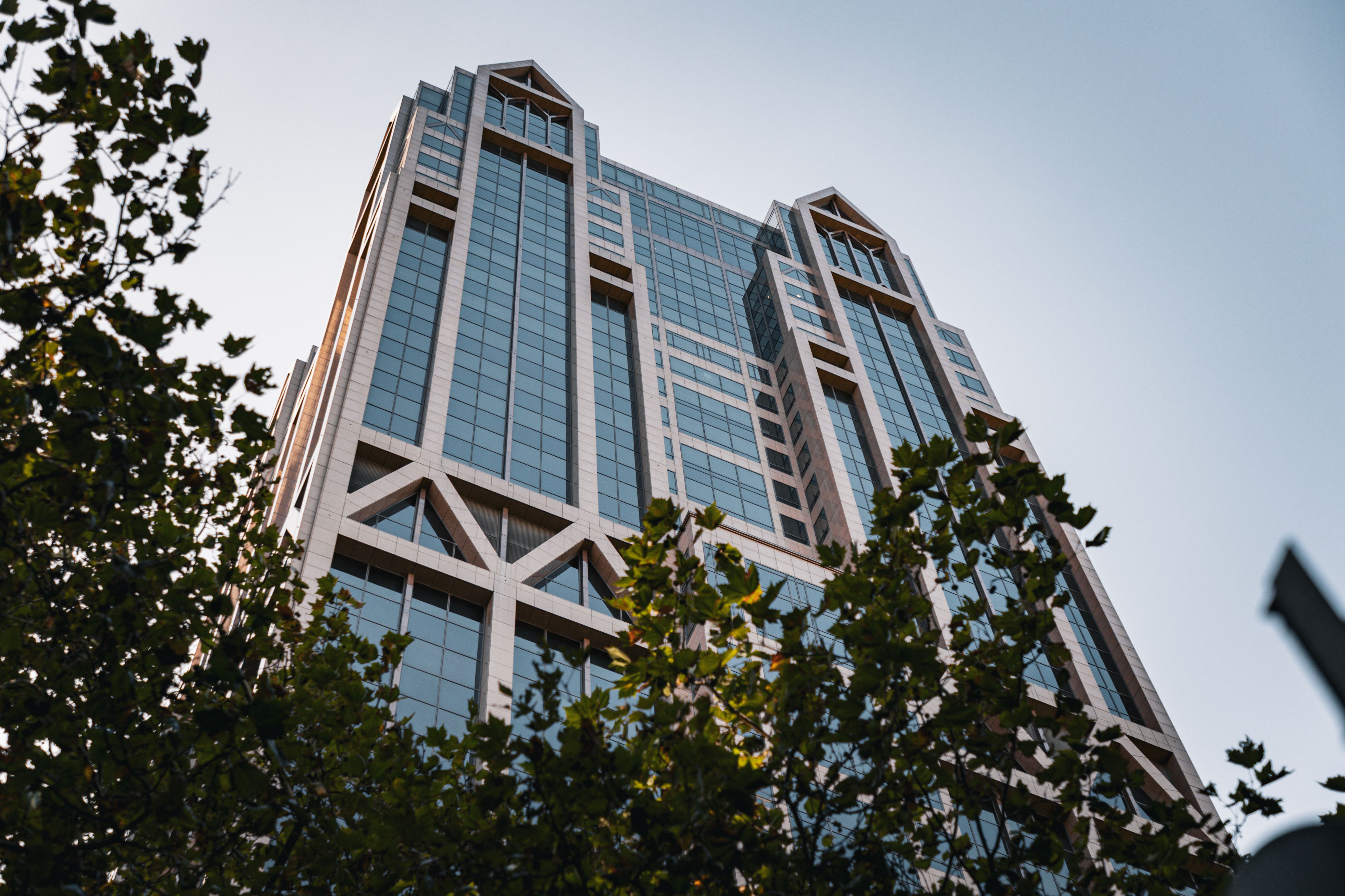 Unlock Growth: Corporate Sustainability Consulting Services