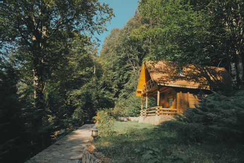 Free Cozy wooden cabin surrounded by lush green forest under sunny blue skies. Stock Photo