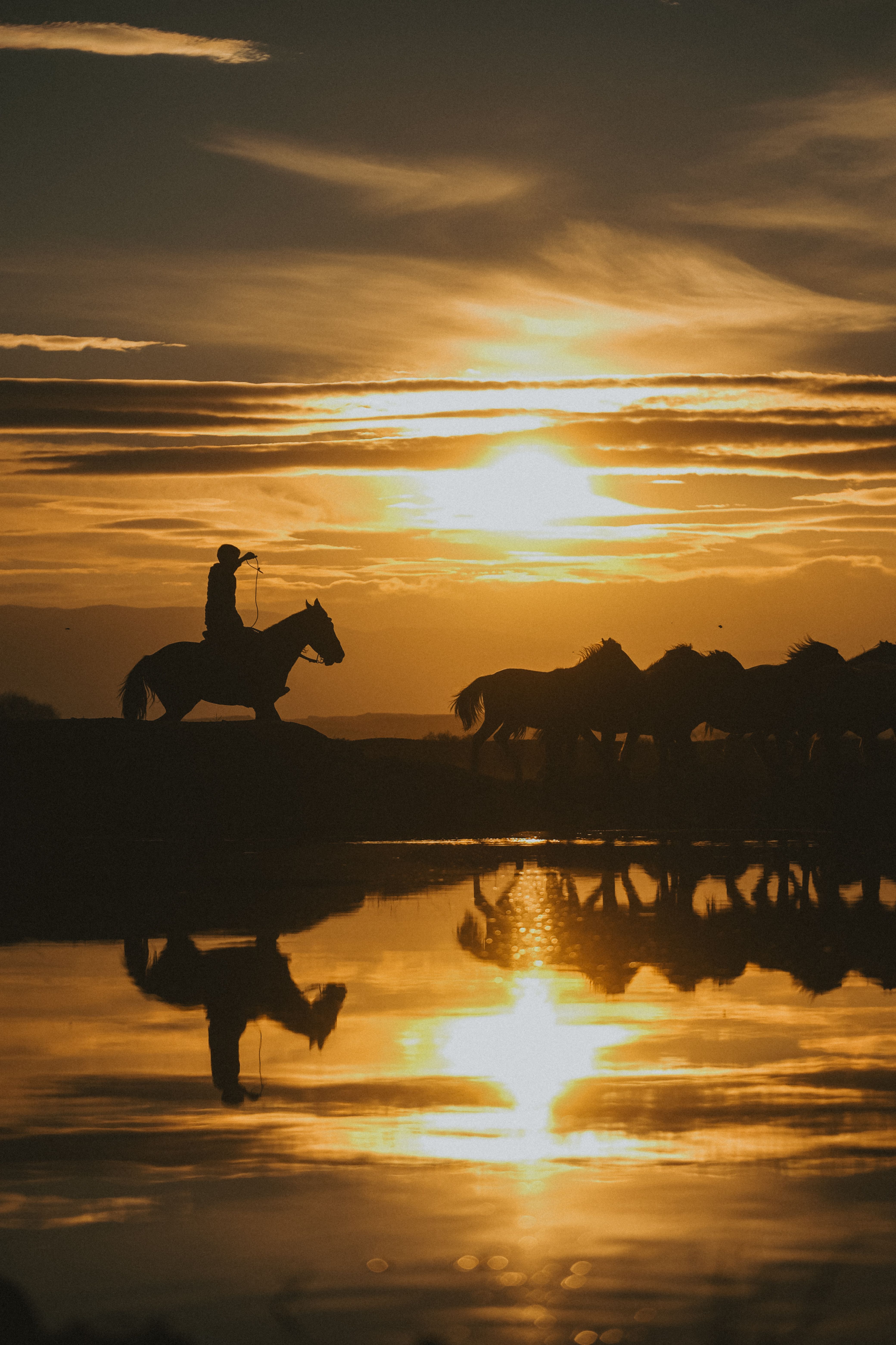 Silhouette of Horse Rider at Sunset Reflection Scene · Free Stock Photo