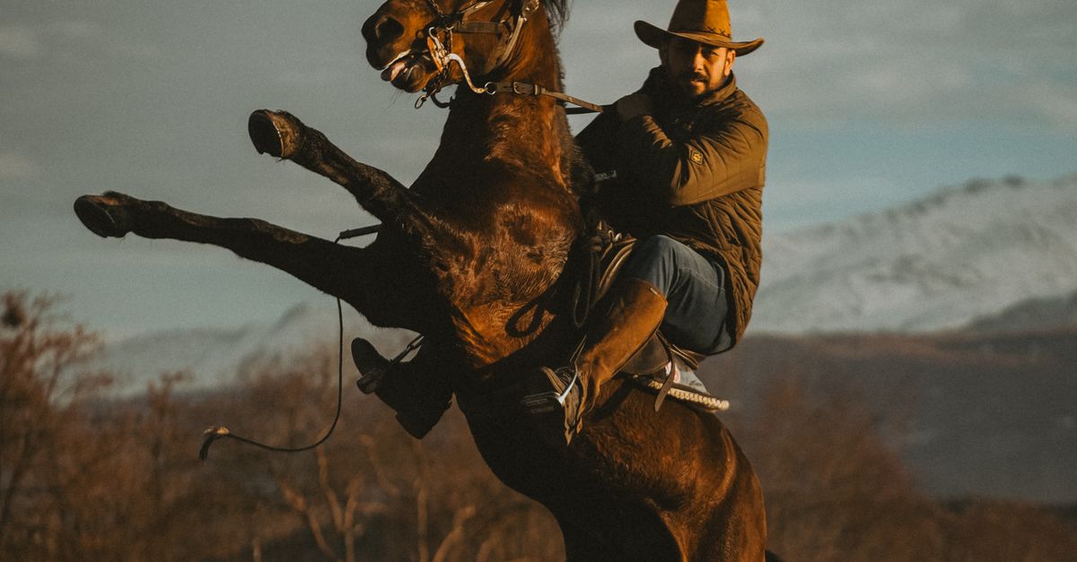 Cowboy Riding Rearing Horse in Rustic Landscape · Free Stock Photo