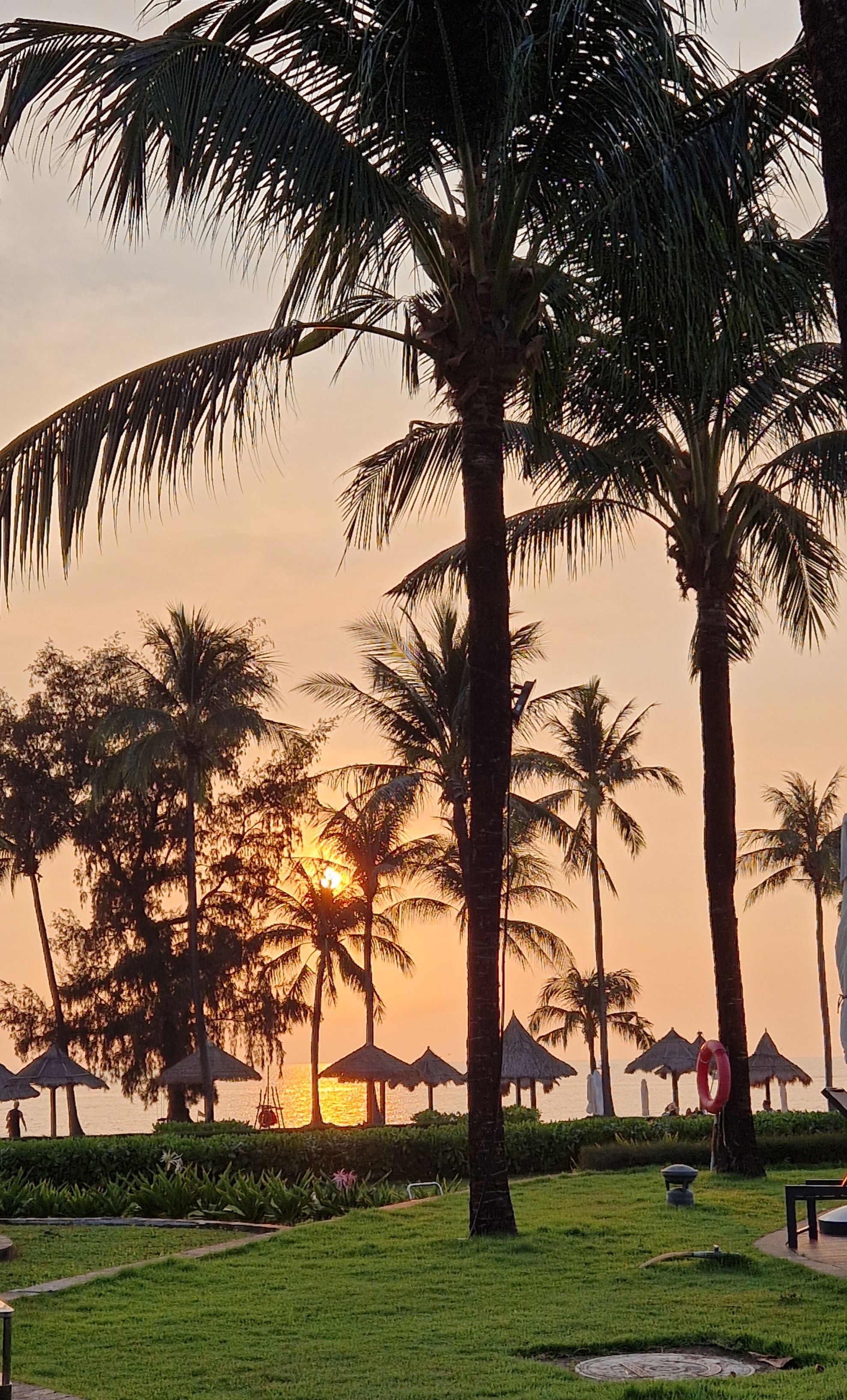 Tropical Paradise