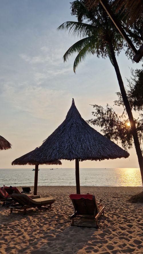 Free Peaceful beach scene with sun loungers and palm trees at sunset, perfect for relaxation. Stock Photo