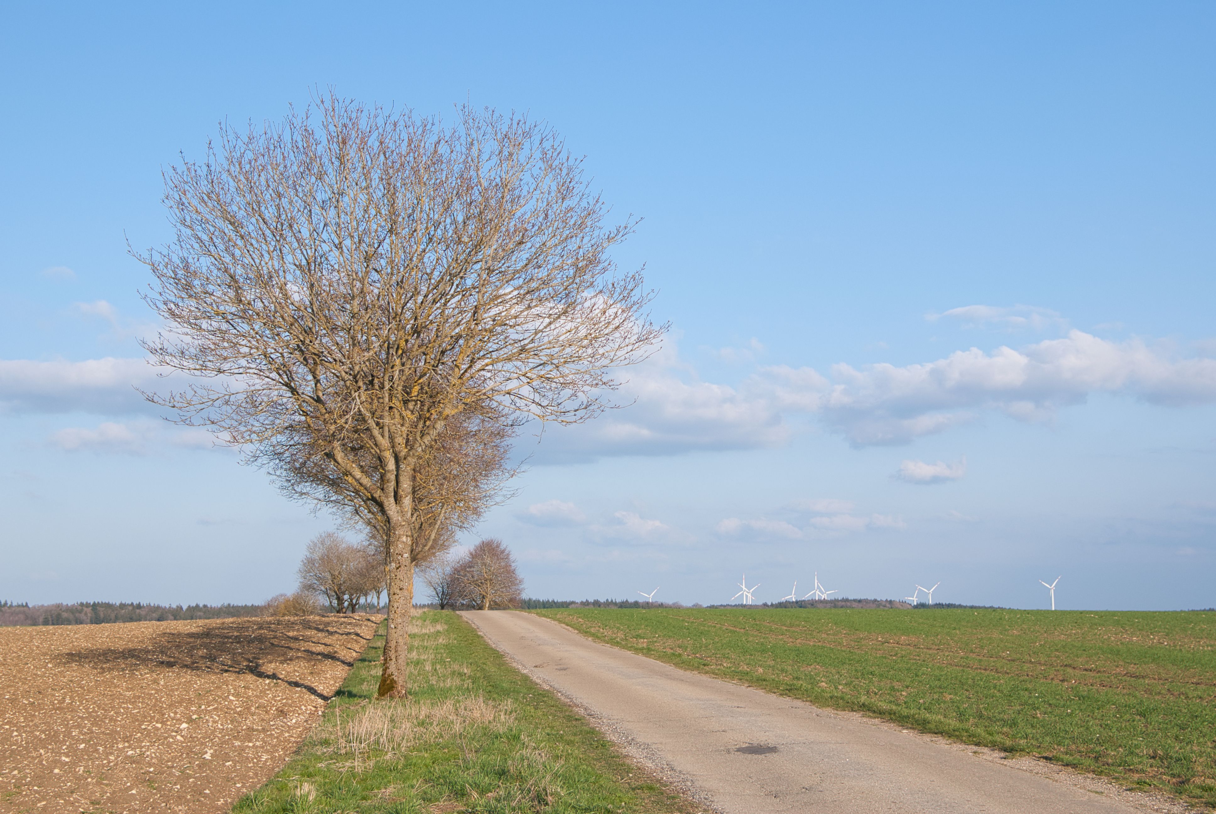 Rural Road and Wind Turbines under Blue Sky · Free Stock Photo